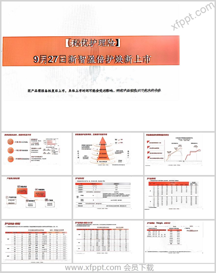 平安新智盈倍护焕新上市11页