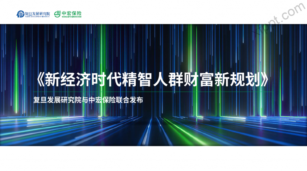 新经济时代精智人群财富新规划39页